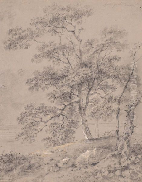 Tree Study Oil Painting by George Barret, Sr.