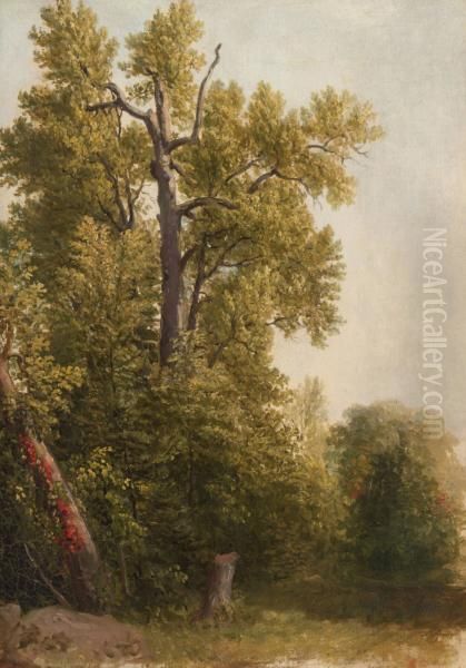 Study from Nature, Hoboken, New Jersey Oil Painting by Asher Brown Durand