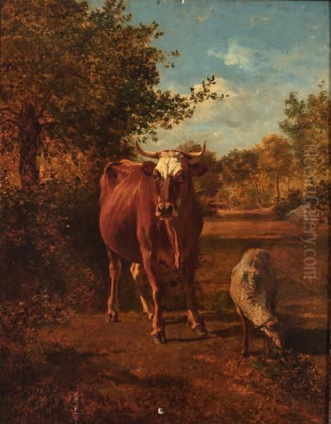 Cow and Sheep Oil Painting by Constant Troyon