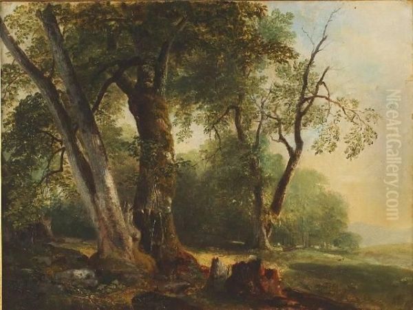 Landscape with Beech Tree Oil Painting by Asher Brown Durand