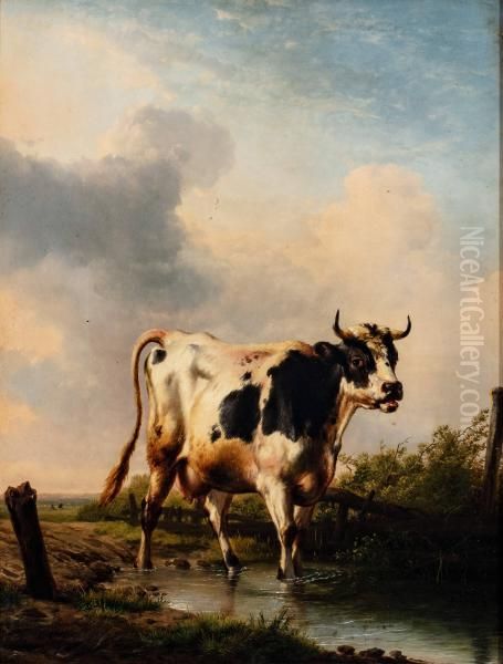 Cow in a Pool Oil Painting by Eugene Verboeckhoven