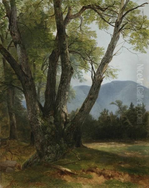 Shandaken, Ulster County, New York Oil Painting by Asher Brown Durand