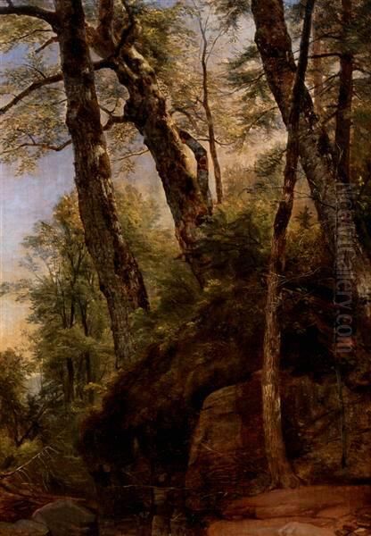 Black Birches, Catskill Mountains Oil Painting by Asher Brown Durand