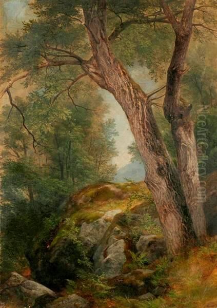 Butternut Tree at Hague, Lake George, New York Oil Painting by Asher Brown Durand