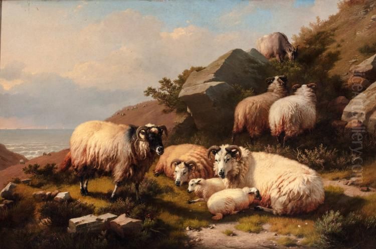 Scotch Sheep Oil Painting by Eugene Verboeckhoven