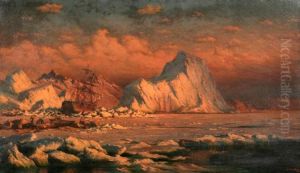 Summer in the Land of the Midnight Sun