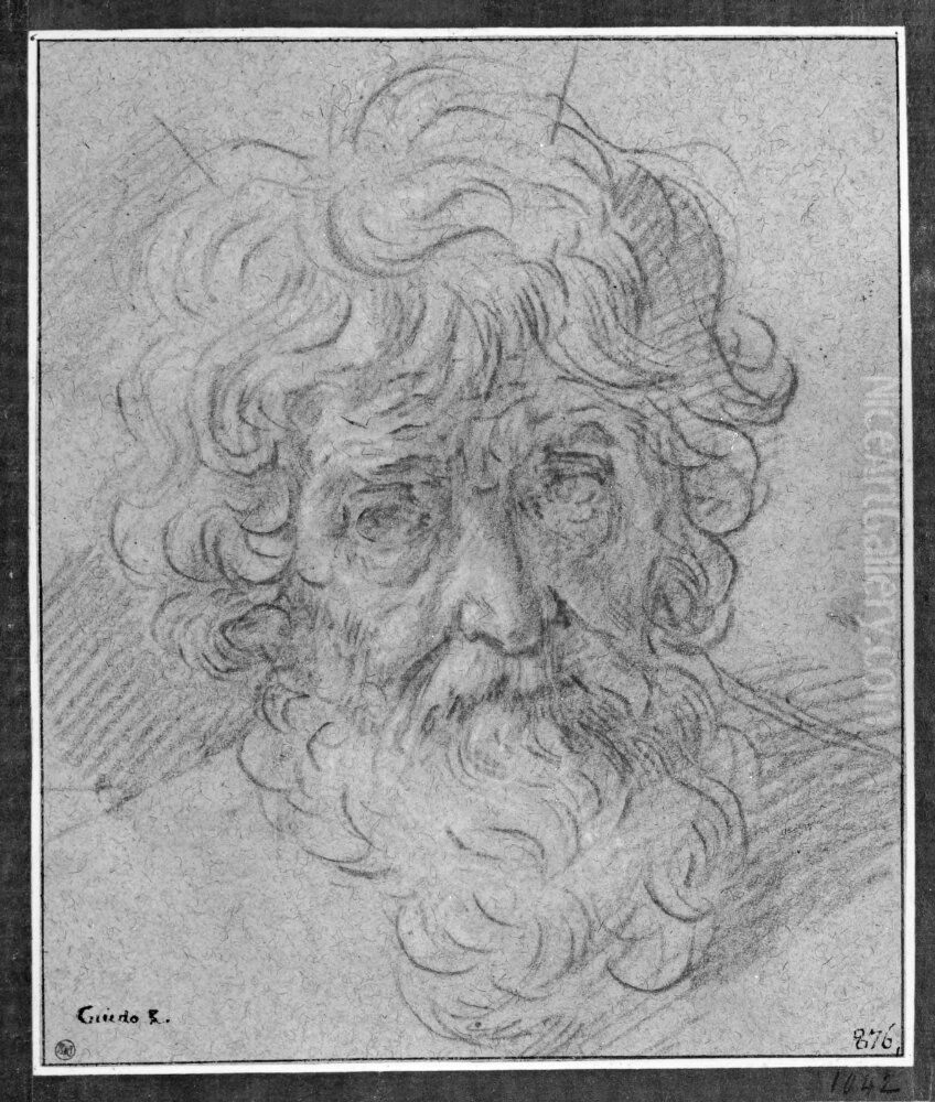 Head of an old man Oil Painting by Simone Cantarini (Pesarese)