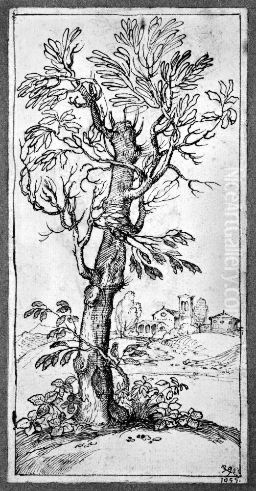 Landscape with tree in foreground Oil Painting by Giovanni Francesco Grimaldi