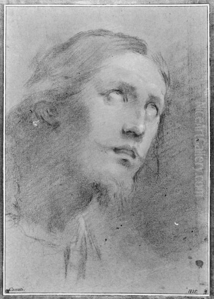 Head of Christ, three-quarter view right Oil Painting by Domenico Maria Canuti