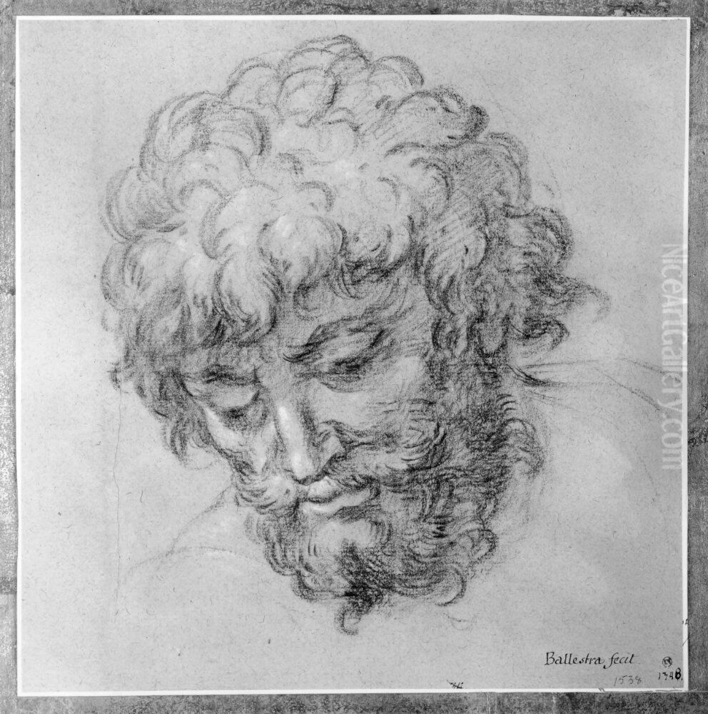 Head of an Old Man Oil Painting by Antonio Balestra