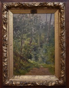 Underbrush