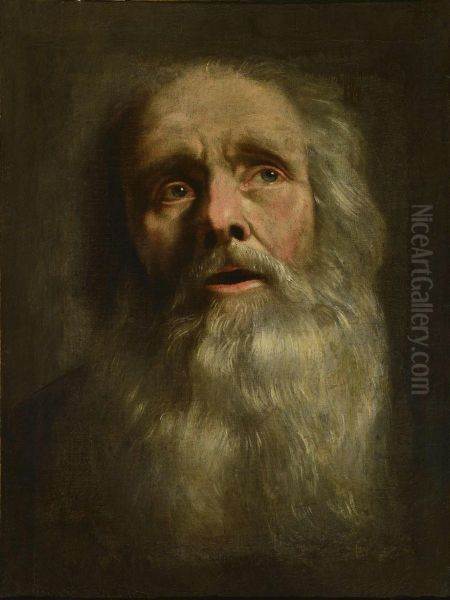 Tete de vieillard Oil Painting by Philippe de Champaigne