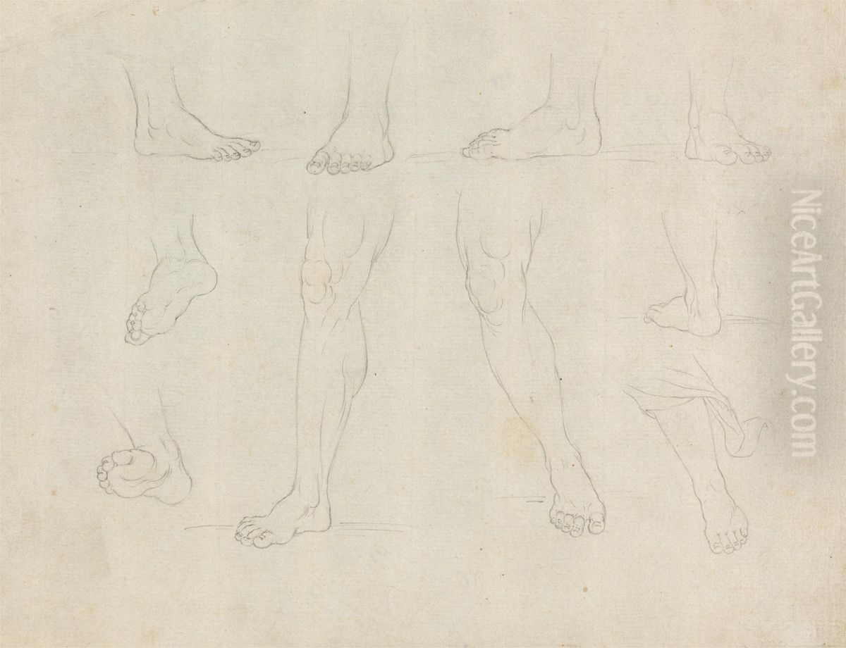 Studies of Feet and Legs Oil Painting by James Bruce