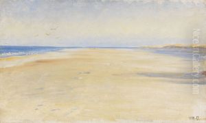 Fra stranden ved Skagen.