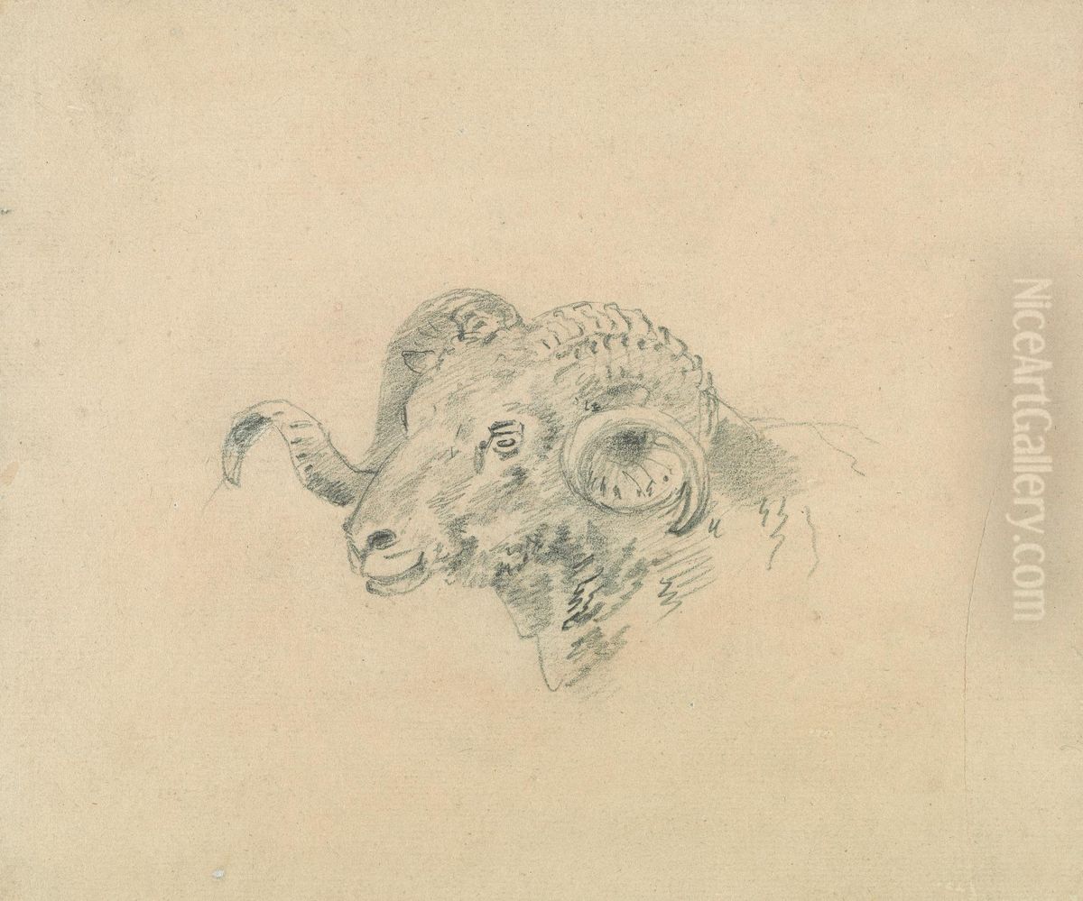 Head of a Ram Oil Painting by Sawrey Gilpin
