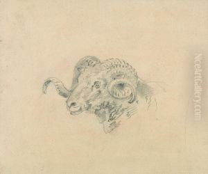 Head of a Ram