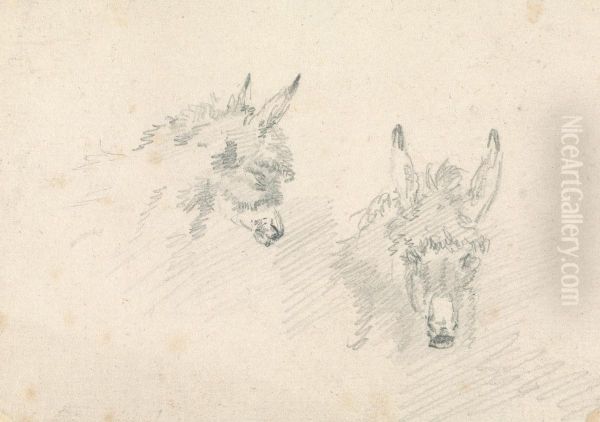 Two Heads of Donkeys Oil Painting by Sawrey Gilpin
