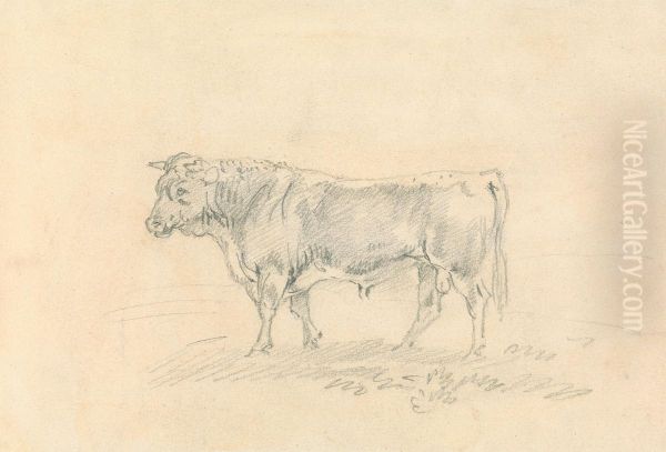 Bull Oil Painting by Sawrey Gilpin