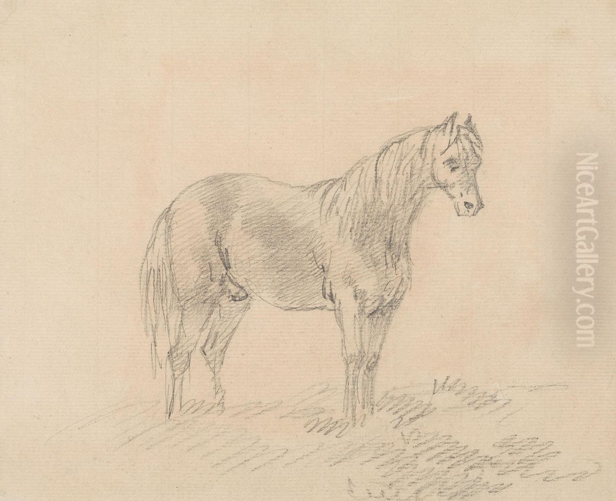 Male Horse Oil Painting by Sawrey Gilpin
