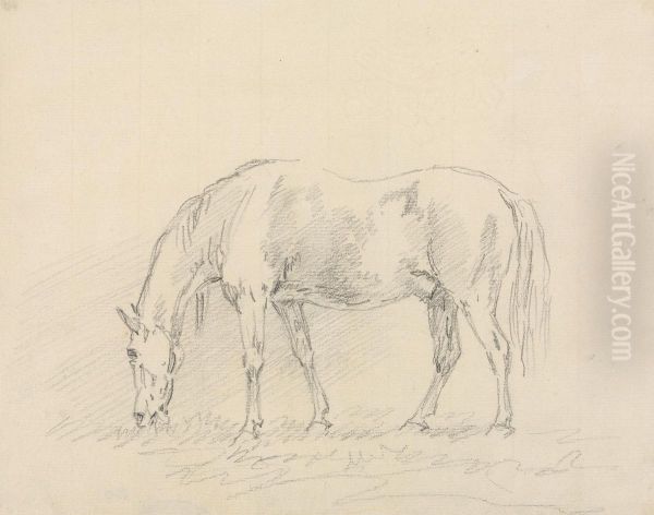 Horse Grazing Oil Painting by Sawrey Gilpin