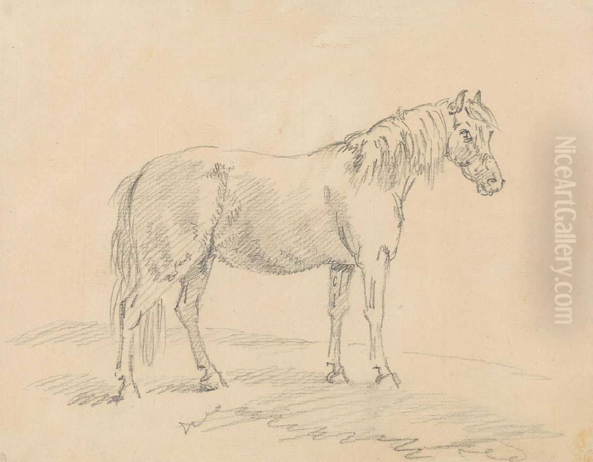 Standing Horse Oil Painting by Sawrey Gilpin