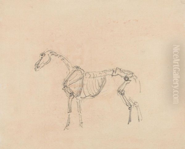 Horse Skeleton Oil Painting by Sawrey Gilpin