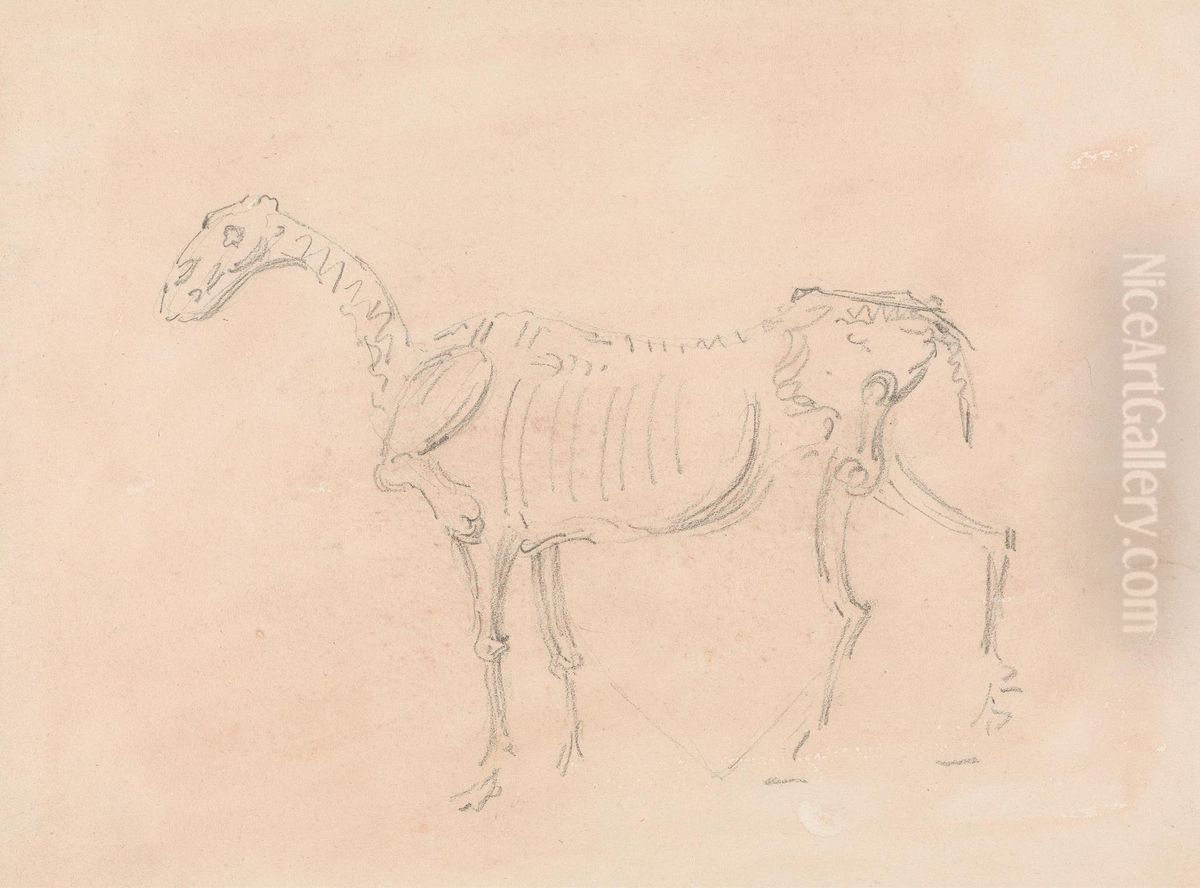 Horse Skeleton Oil Painting by Sawrey Gilpin