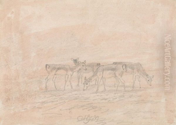 Four Deer Oil Painting by Sawrey Gilpin