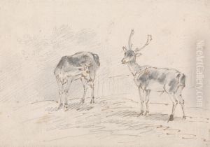 Doe and Buck