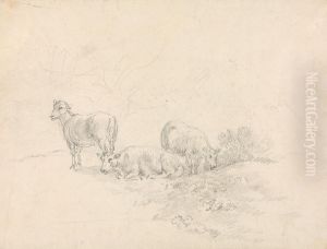 Three Sheep