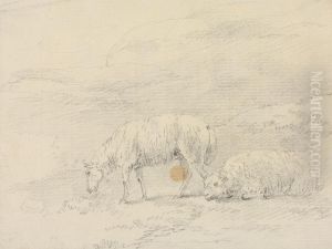 Two Sheep