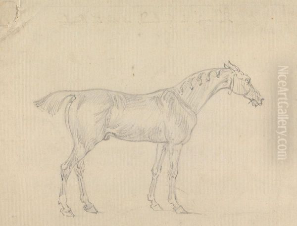 A Horse Oil Painting by Sawrey Gilpin
