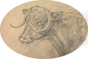 Head of a Bull