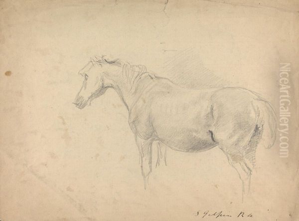Sketch of a Horse Oil Painting by Sawrey Gilpin