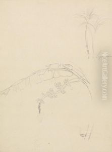Plant Sketches