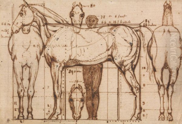 Anatomical Study of a Horse Oil Painting by William Mulready