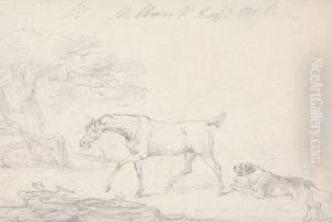 Horse and Dog