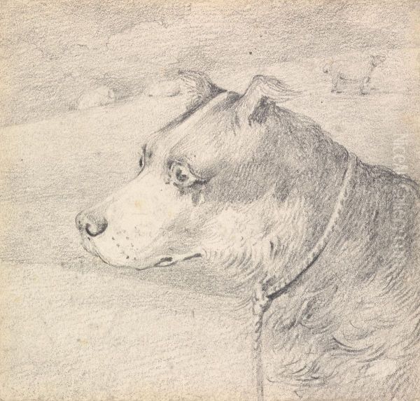 Head and Shoulders of a Collie Dog, Wearing a Leash or Tether, Sketchy Sheep in Background Oil Painting by Henry Thomas Alken