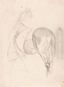 A Horse Standing, Head Turned, Wearing Quarter Sheet