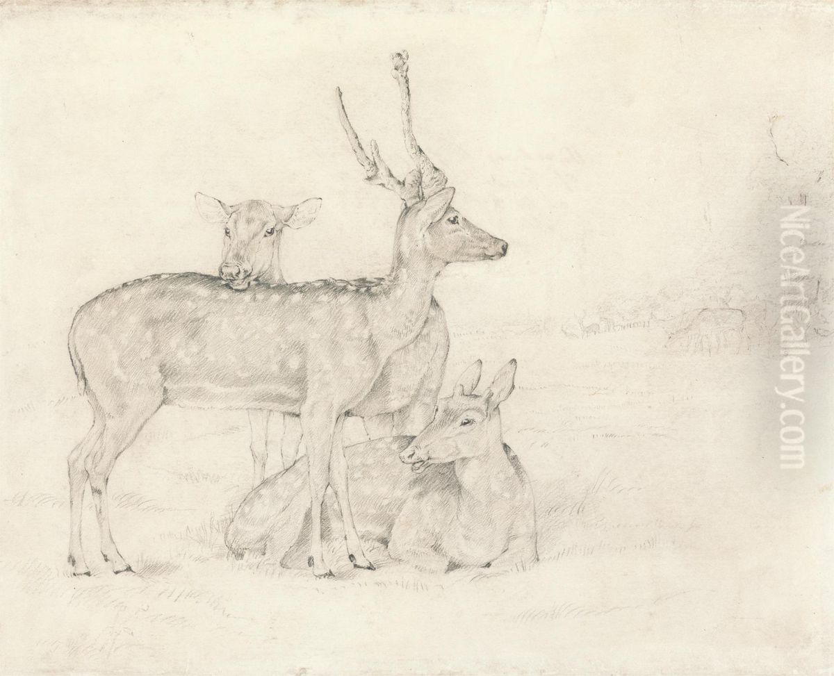 A Herd of Deer Grazing in a Park Oil Painting by Sir Edwin Henry Landseer