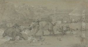 Elephants Fighting