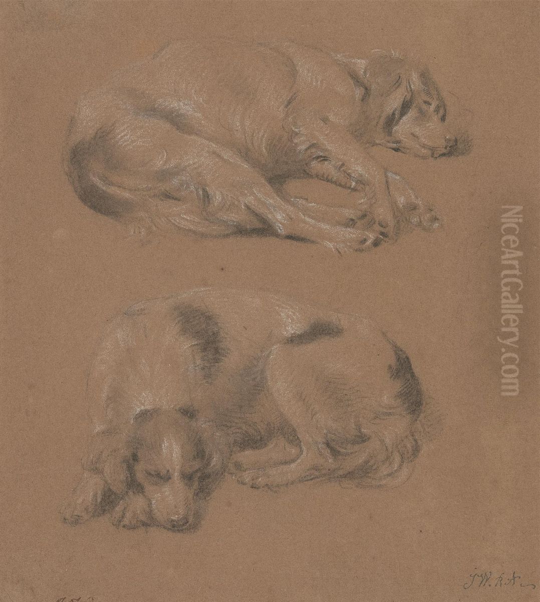 Studies of Dogs lying down Oil Painting by James Ward