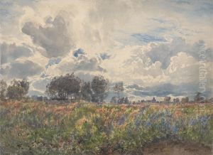 Showery June, Picardy