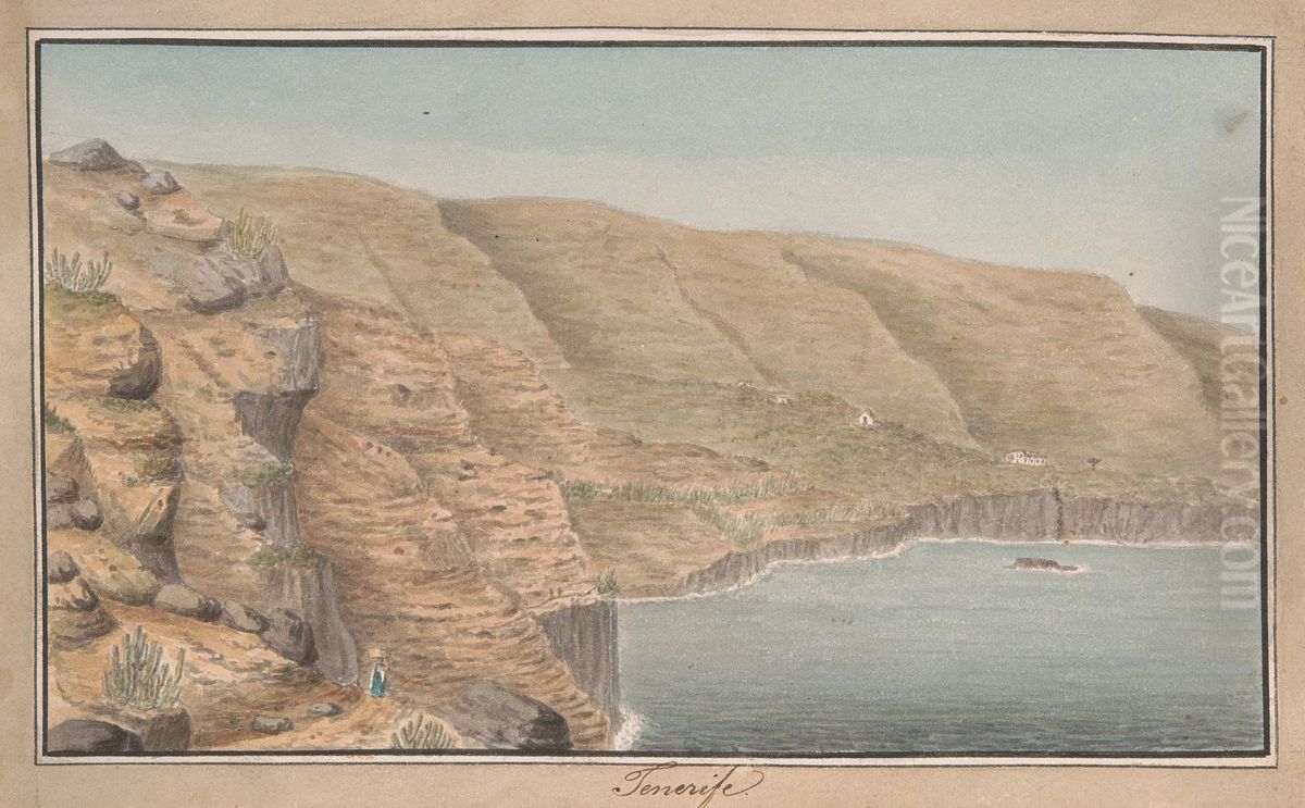 View of La Rambla de Castro near Port Orotava, Tenerife Oil Painting by Alfred Diston