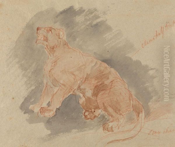 Study of a tiger Oil Painting by Sawrey Gilpin