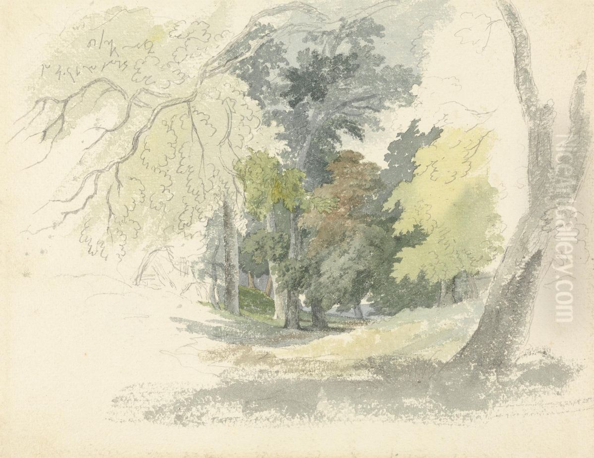 A Woodland Glade Oil Painting by Robert Hills