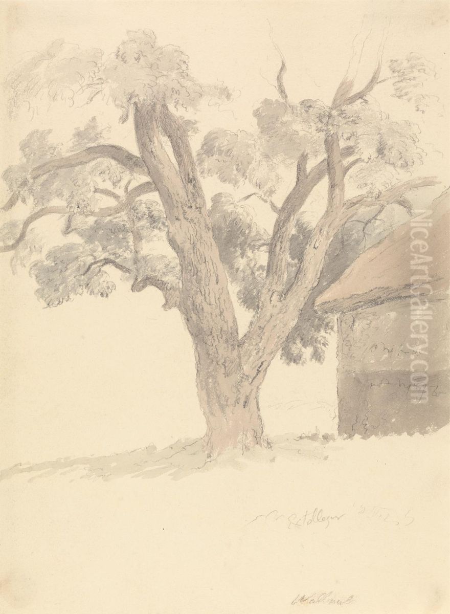 Walnut Tree Oil Painting by Robert Hills Walnut Tree Oil Painting by Robert Hills
