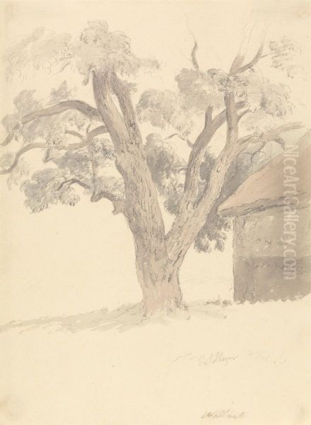 Walnut Tree Oil Painting by Robert Hills