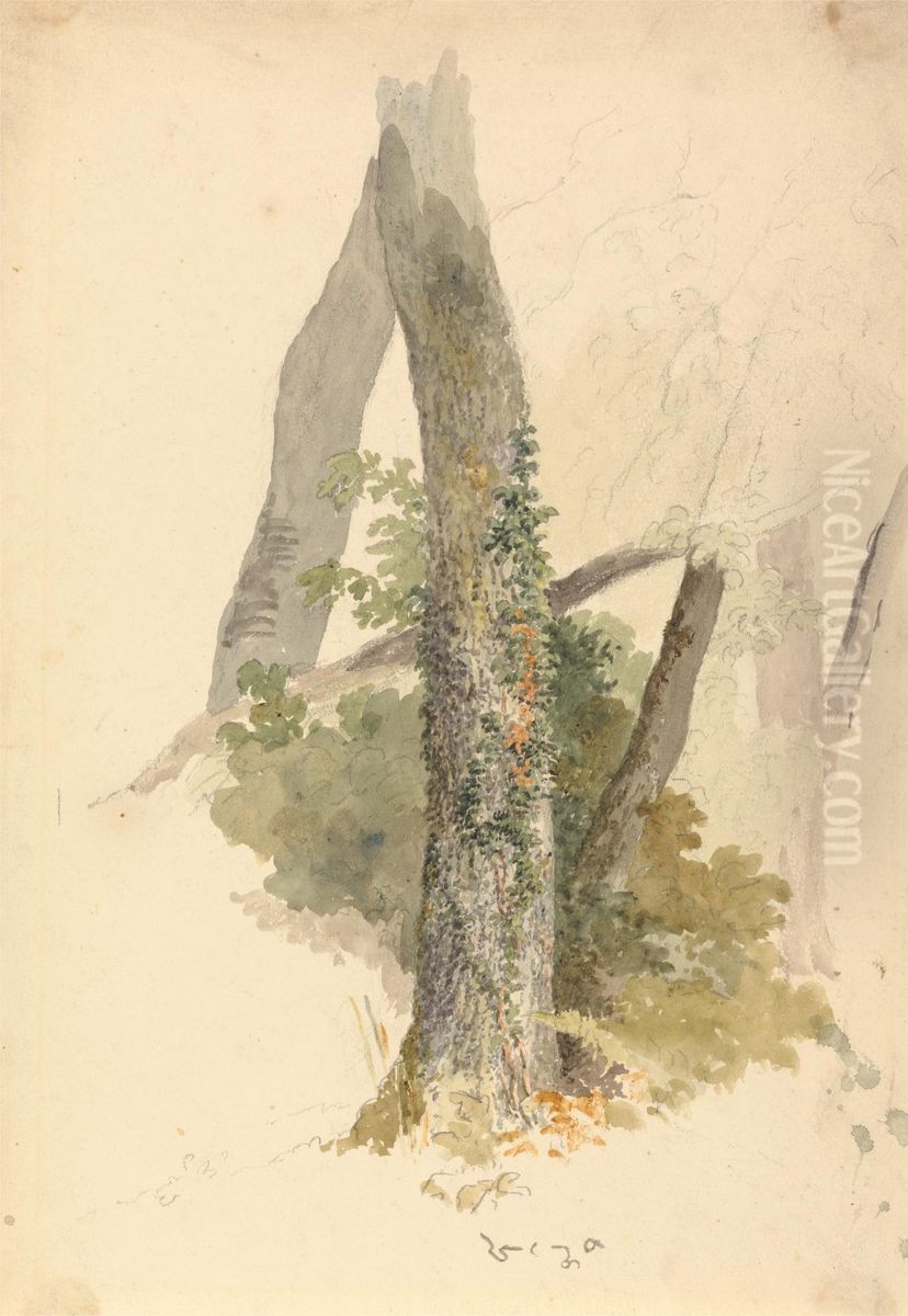 Tree Study with Ivy Clinging to Stump Oil Painting by Robert Hills