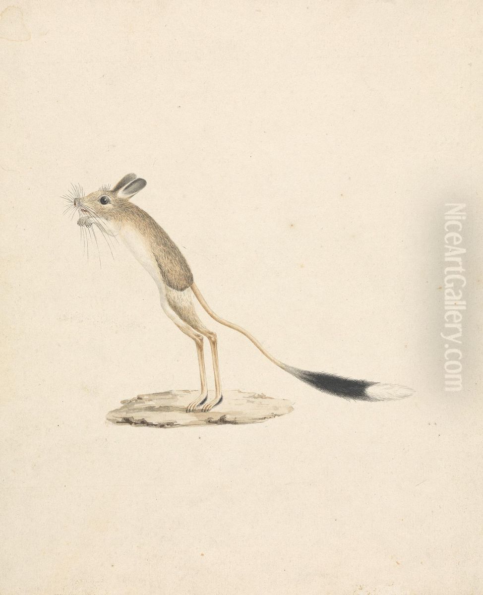 Jerboa Oil Painting by James Bruce